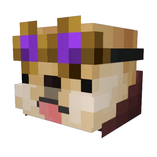 Shibva_ Minecraft avatar head, 3D render