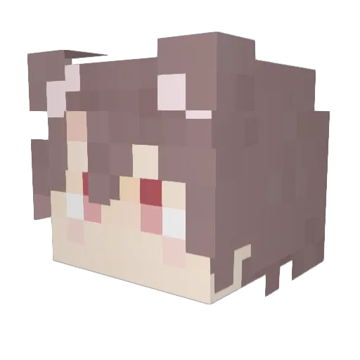 Shidi Minecraft avatar head, 3D render