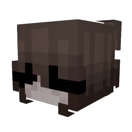 Shiecka Minecraft avatar head, 3D render