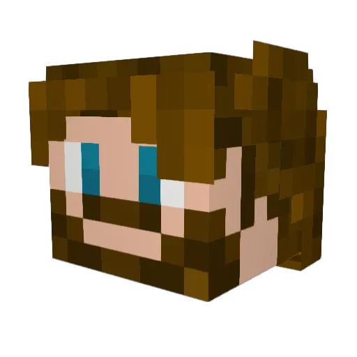 Shieldborne Minecraft avatar head, 3D render