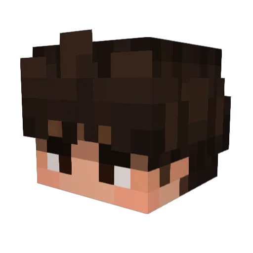 Shieldo0 Minecraft avatar head, 3D render