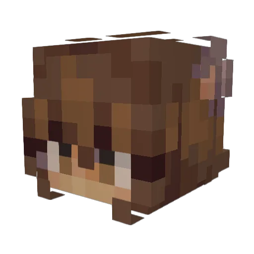 Shigabi Minecraft avatar head, 3D render