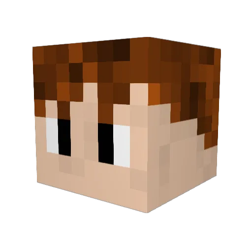 Shiggit Minecraft avatar head, 3D render