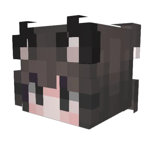 Shigie18 Minecraft avatar head, 3D render