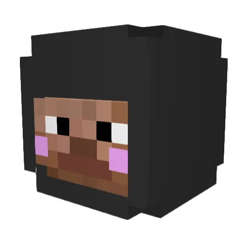 Shigoo_ Minecraft avatar head, 3D render