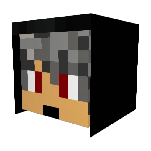 Shigueto Minecraft avatar head, 3D render