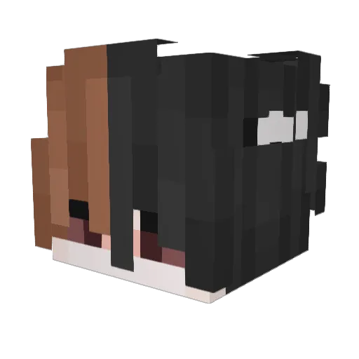 Shiironae Minecraft avatar head, 3D render