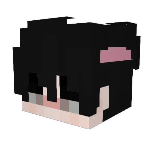 ShijuroTengen Minecraft avatar head, 3D render