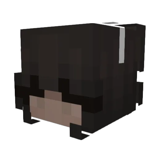 Shik Minecraft avatar head, 3D render