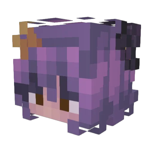 Shika1600000 Minecraft avatar head, 3D render