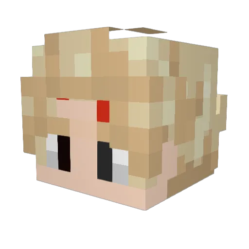 ShikaDG Minecraft avatar head, 3D render