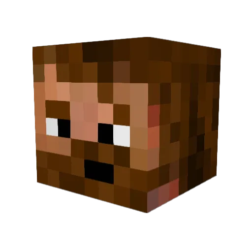 Shikarego Minecraft avatar head, 3D render