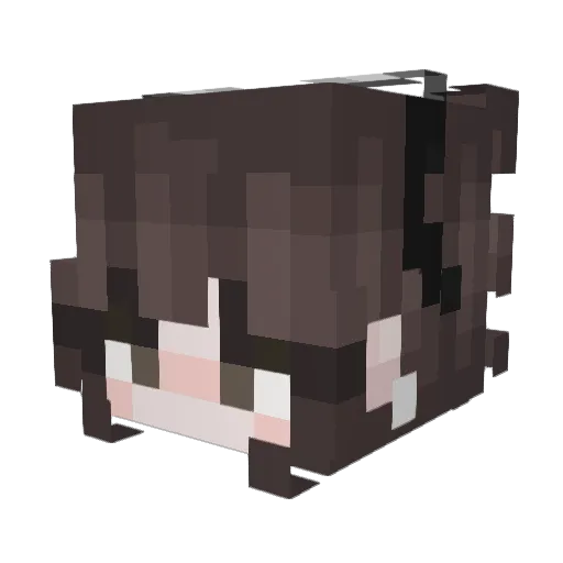 Shikatoji Minecraft avatar head, 3D render