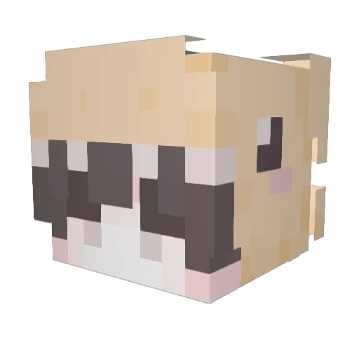 ShikiNyan Minecraft avatar head, 3D render