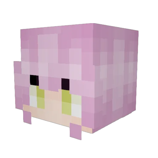 Shikomo Minecraft avatar head, 3D render