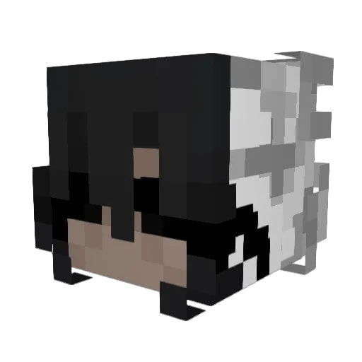 Shilaa3000 Minecraft avatar head, 3D render