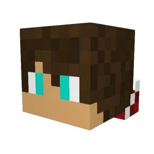 Shilah1 Minecraft avatar head, 3D render