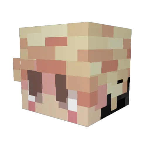 ShiliewJK Minecraft avatar head, 3D render