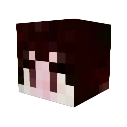 Shillonoa Minecraft avatar head, 3D render
