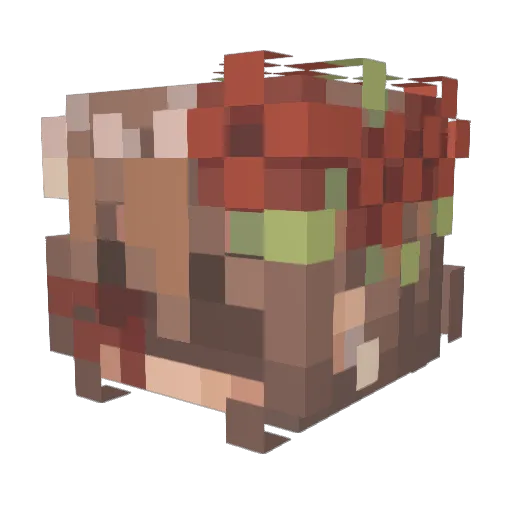 Shilohthebeast Minecraft avatar head, 3D render