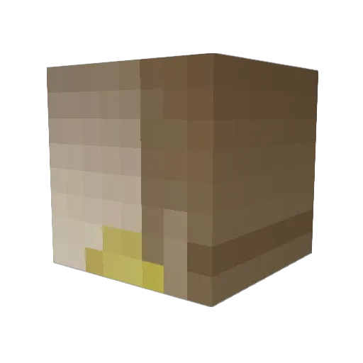 Shimm1e Minecraft avatar head, 3D render