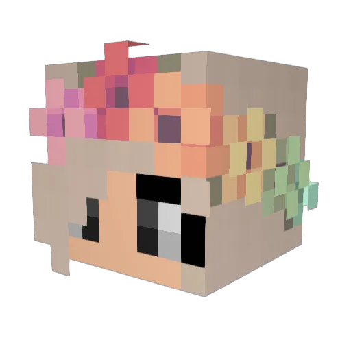 Shimmer_Sparkle Minecraft avatar head, 3D render