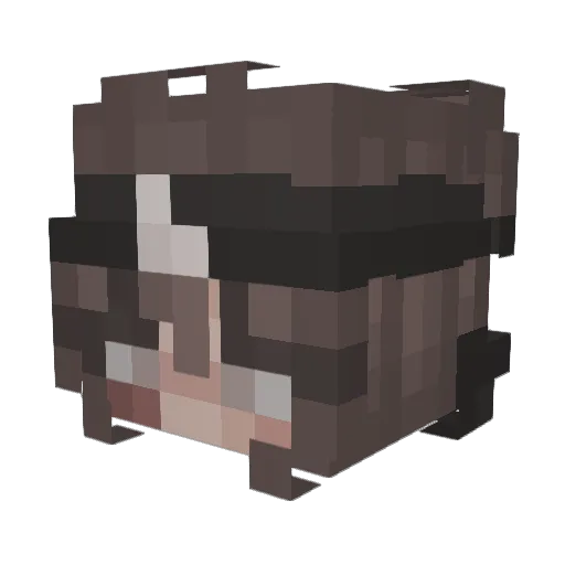 Shimmerous Minecraft avatar head, 3D render
