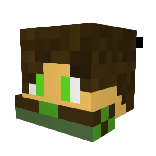 Shimpster Minecraft avatar head, 3D render