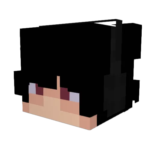 ShinOnSkoll Minecraft avatar head, 3D render