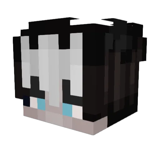 ShinPuca Minecraft avatar head, 3D render