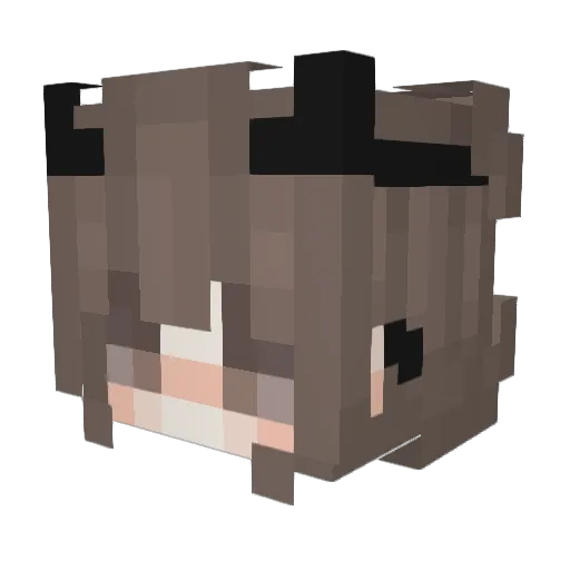 Shinarin Minecraft avatar head, 3D render