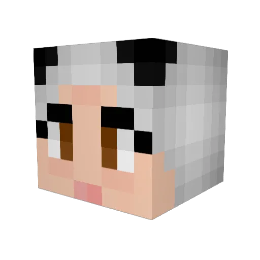 Shinchipanda Minecraft avatar head, 3D render