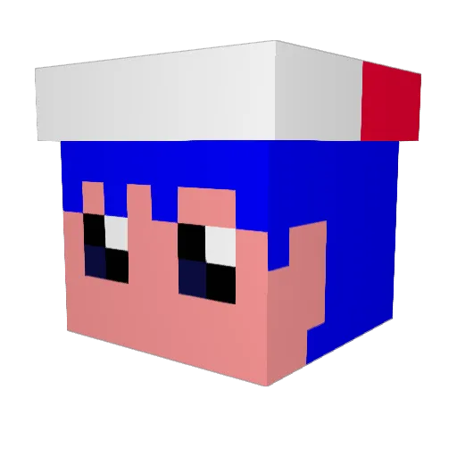 Shine2247 Minecraft avatar head, 3D render