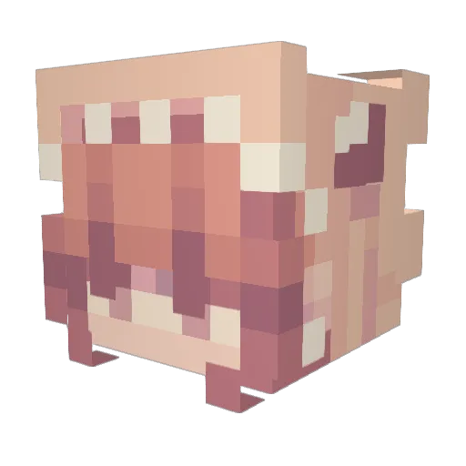 Shine71 Minecraft avatar head, 3D render