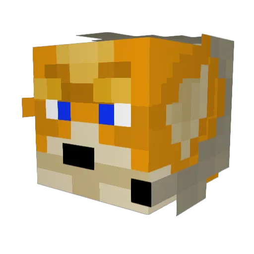 ShineBair Minecraft avatar head, 3D render
