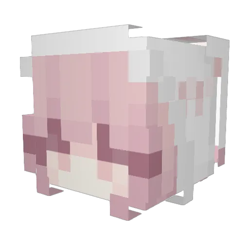 ShineMuscat0 Minecraft avatar head, 3D render