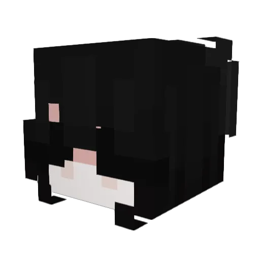 ShineRose Minecraft avatar head, 3D render