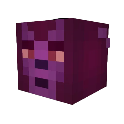 Shine_435 Minecraft avatar head, 3D render