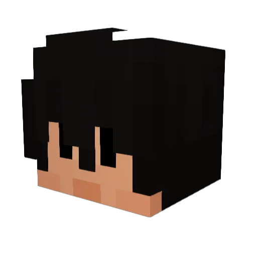 Shine_435 Minecraft avatar head, 3D render