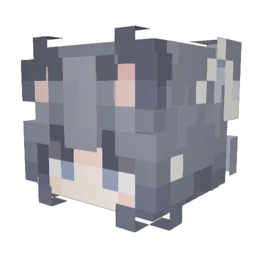 Shiner12 Minecraft avatar head, 3D render