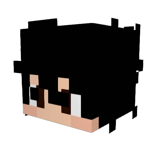 Shineykub Minecraft avatar head, 3D render