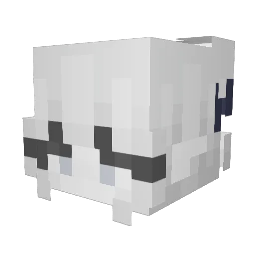 Shing8981 Minecraft avatar head, 3D render