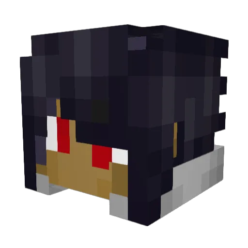 Shinglator Minecraft avatar head, 3D render