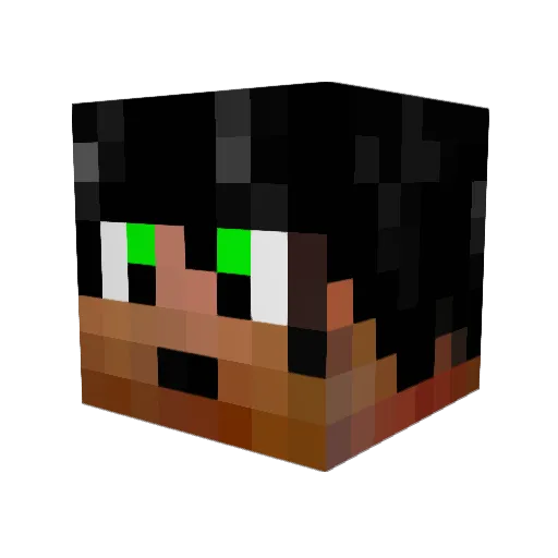 Shingnix Minecraft avatar head, 3D render