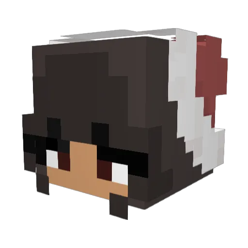 ShiningWonder Minecraft avatar head, 3D render