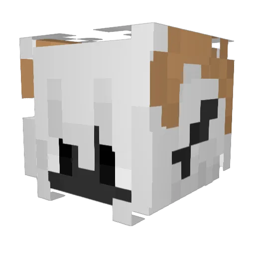 Shining_Max24 Minecraft avatar head, 3D render