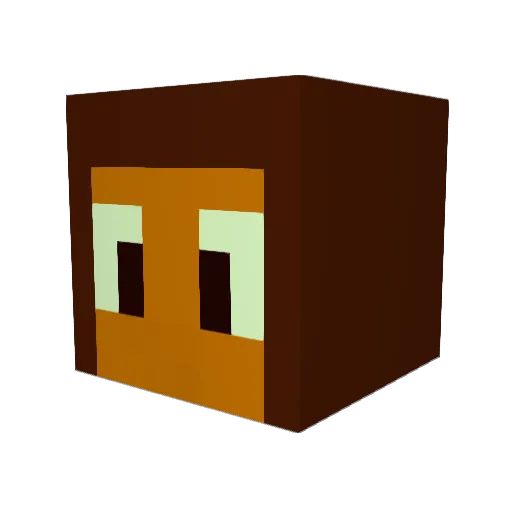 Shining__Dawn Minecraft avatar head, 3D render