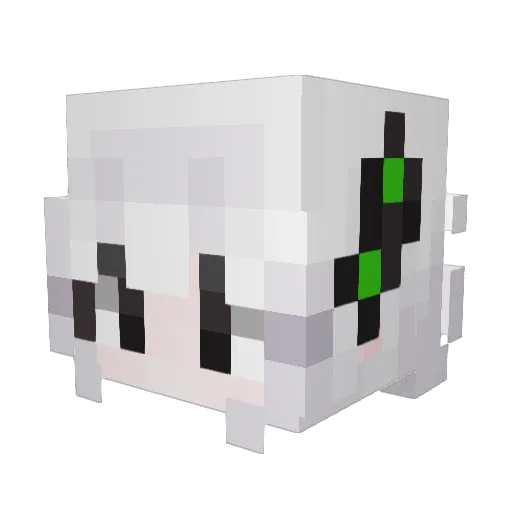 Shinna_ Minecraft avatar head, 3D render