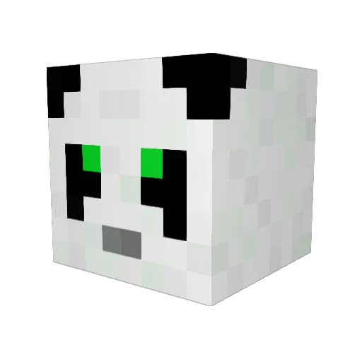 Shinnoks Minecraft avatar head, 3D render