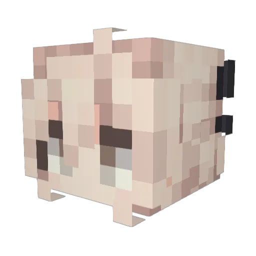 ShinoLexus Minecraft avatar head, 3D render